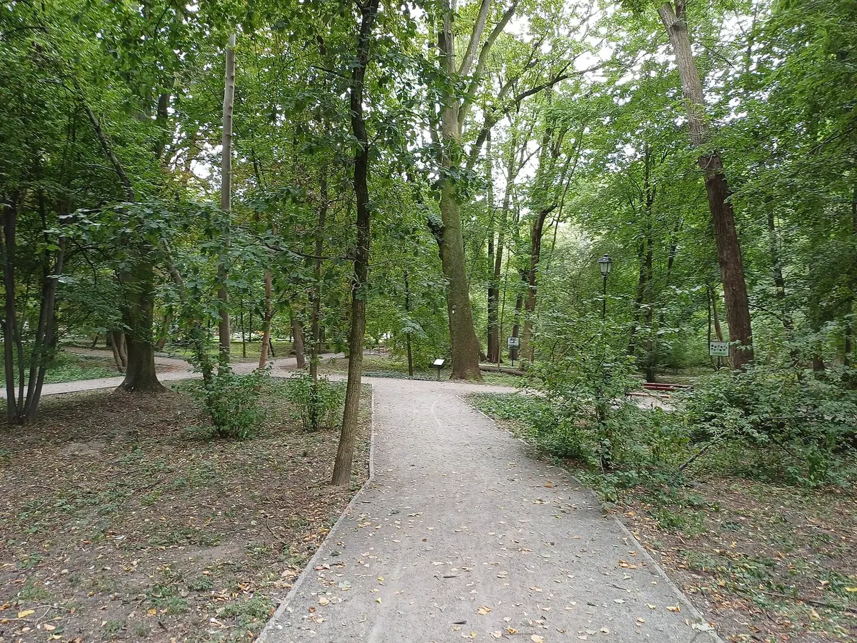 Rozwój miasta Siedlce: jak historia ukształtowała układ miasta